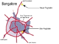 1x1_impression_airport_bangalore_01